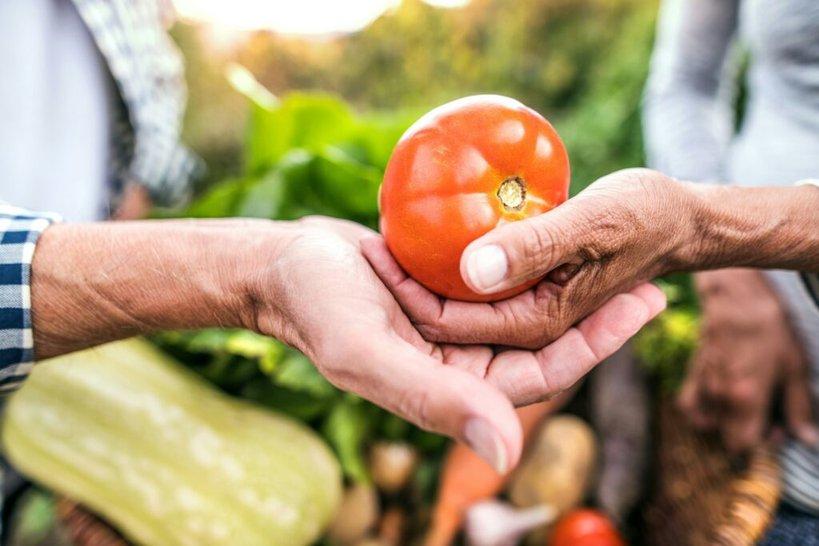 Two pairs of hands sharing fresh produce — membership as participation in a regional food system